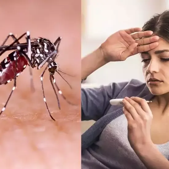 dengue fever test